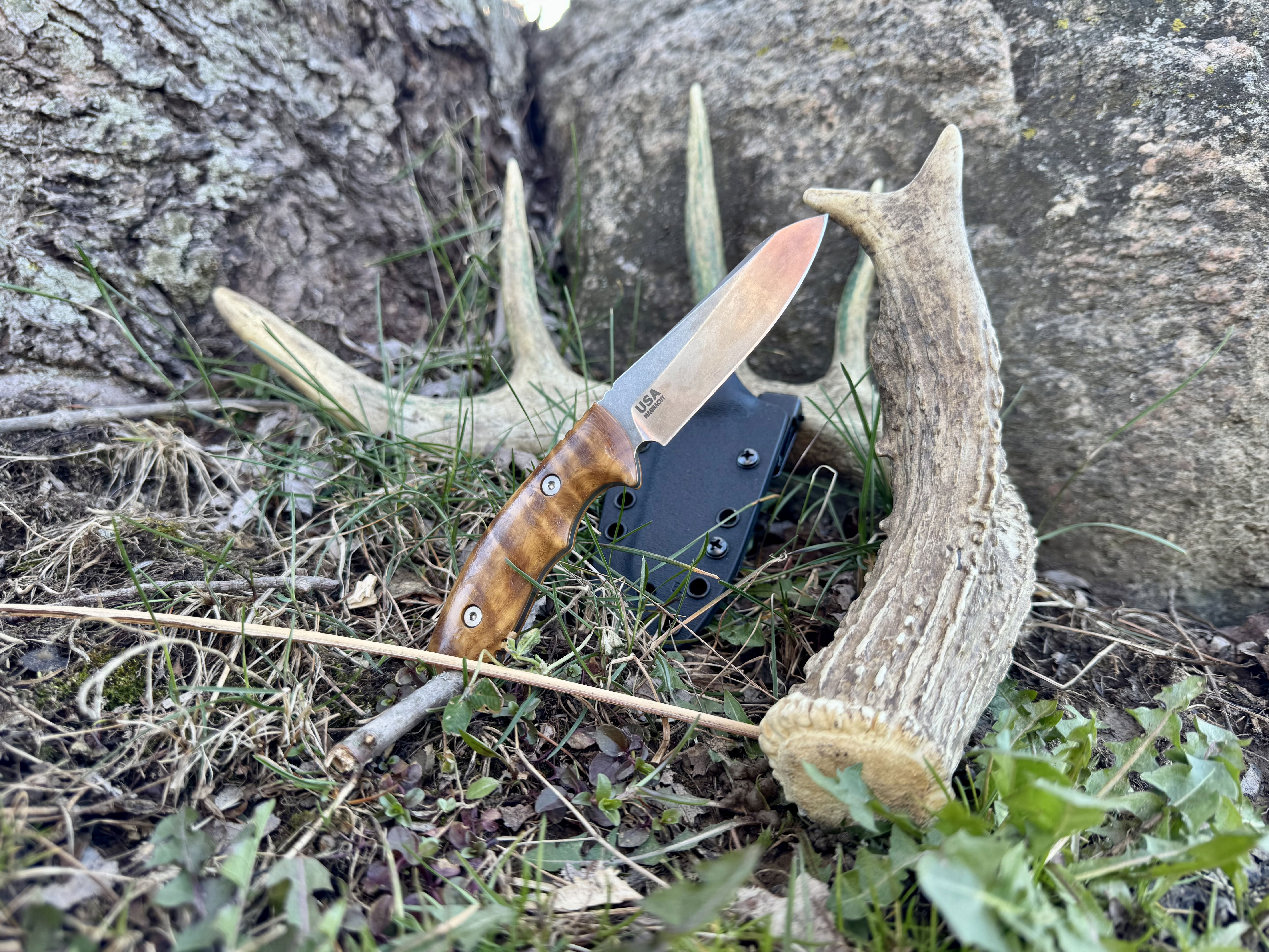 Shed Hunting Tips: Where to Find Deer Sheds This Season